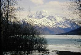 alaska12.jpg 12.4K