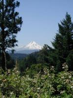 mthood.jpg 8.1K