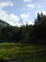 ranier_field.jpg 5.0K